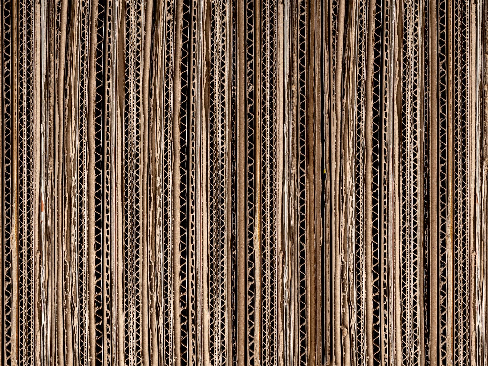 Design for Sustainability